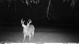 63001 U.S. 82 - Photo 6