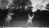 63001 U.S. 82 - Photo 7