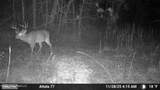  Old Trace Road - Photo 10