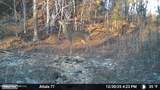  Old Trace Road - Photo 21