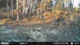  Old Trace Road - Photo 27