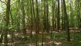  Pleasant Hills Road - Photo 5
