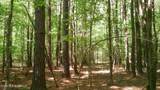  Pleasant Hills Road - Photo 7