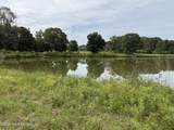 813 Holmesville Road - Photo 10