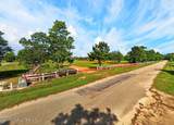 Jordan Bluff Drive - Photo 4