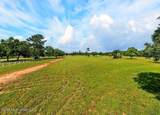  Jordan Bluff Drive - Photo 5