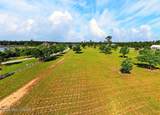 Jordan Bluff Drive - Photo 6
