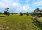  Jordan Bluff Drive - Photo 7