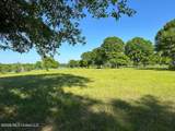  New Arbor Road - Photo 1