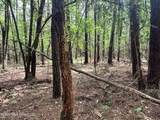  Mccomb Holmesville Road - Photo 11