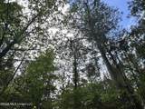  Mccomb Holmesville Road - Photo 16