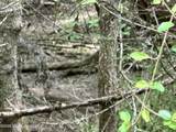  Mccomb Holmesville Road - Photo 5