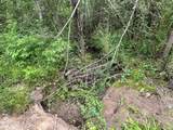  Mccomb Holmesville Road - Photo 6