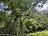  Mccomb Holmesville Road - Photo 7