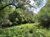  Mccomb Holmesville Road - Photo 8