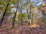  Mount Leopard Road - Photo 10