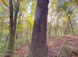  Mount Leopard Road - Photo 11