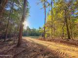  Mount Leopard Road - Photo 2
