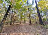  Mount Leopard Road - Photo 8