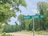 0 Henry Harris Road - Photo 10