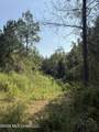 0 Henry Harris Road - Photo 14
