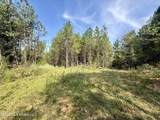 0 Henry Harris Road - Photo 21