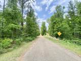 0 Henry Harris Road - Photo 3