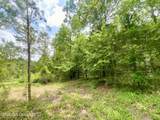 0 Henry Harris Road - Photo 9