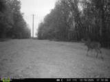 902 Mound Street - Photo 53