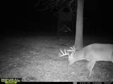 902 Mound Street - Photo 54
