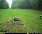 902 Mound Street - Photo 57