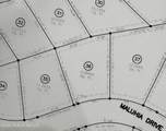 Lot 36 Maluhia Drive - Photo 1