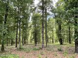  Beaver Dam Road - Photo 4