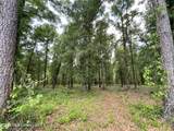  Beaver Dam Road - Photo 6
