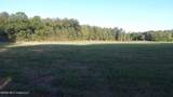 595 County Road 247 - Photo 6