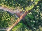 Stewart Weir Road - Photo 13