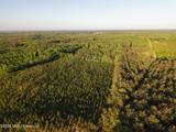  Stewart Weir Road - Photo 14