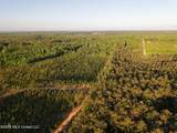  Stewart Weir Road - Photo 15
