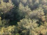  Stewart Weir Road - Photo 21