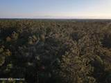  Stewart Weir Road - Photo 25