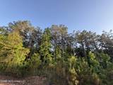  Stewart Weir Road - Photo 3