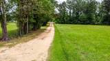 1668 Old Fannin Road - Photo 6