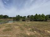 0 Neely Avera Road - Photo 19