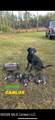 000 Furrs Mill Dr Ne Drive - Photo 42