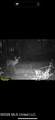 000 Furrs Mill Dr Ne Drive - Photo 51