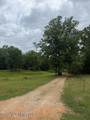  Grady Road - Photo 1