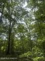  Grady Road - Photo 12