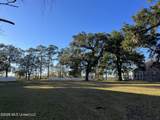 25 Devils Elbow - Photo 2