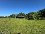 260 Mitchell Chapel Road - Photo 11
