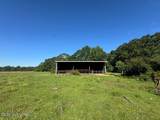 260 Mitchell Chapel Road - Photo 13